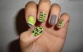 /album/nechty/zeleno-sive-nechty-jpg/